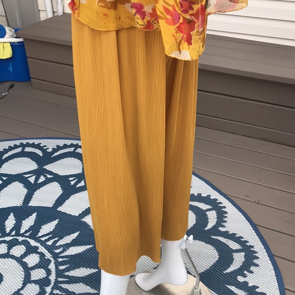 Zara Culottes - Picture 5 of 7